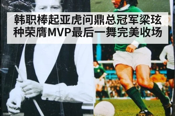 韩职棒起亚虎问鼎总冠军梁玹种荣膺MVP最后一舞完美收场
