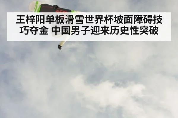 王梓阳单板滑雪世界杯坡面障碍技巧夺金 中国男子迎来历史性突破